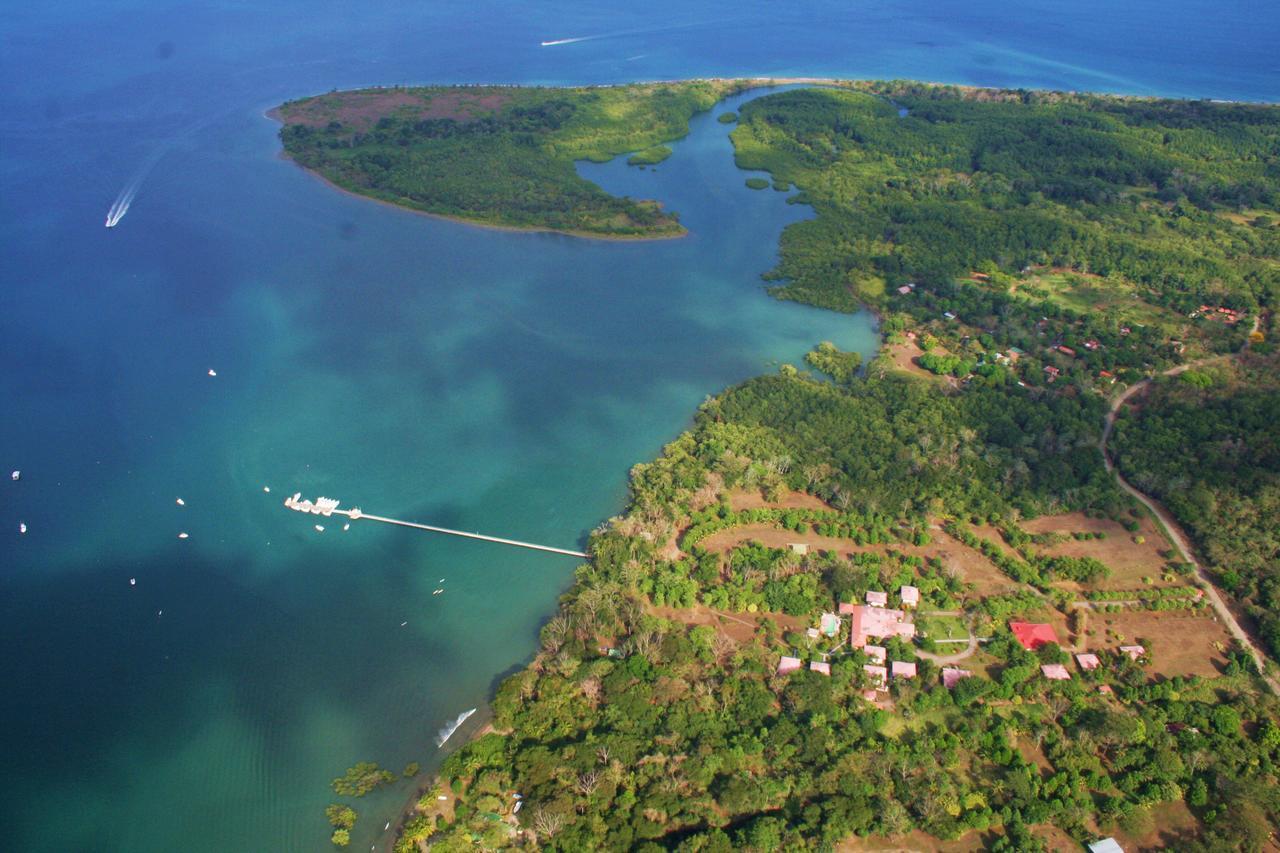 Crocodile Bay Resort Puerto Jiménez Εξωτερικό φωτογραφία