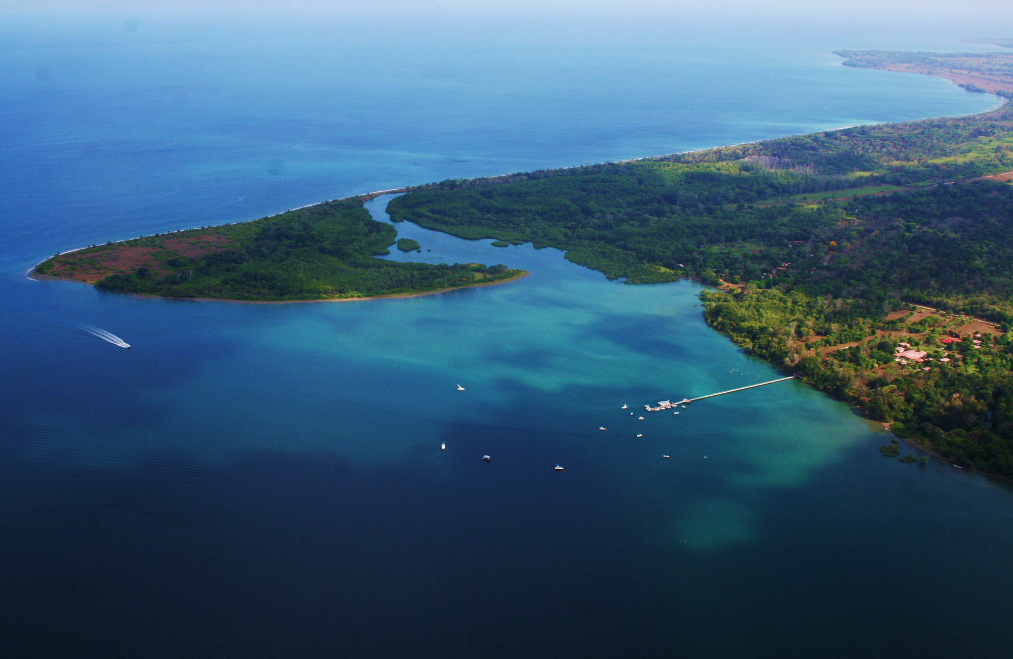 Crocodile Bay Resort Puerto Jiménez Εξωτερικό φωτογραφία